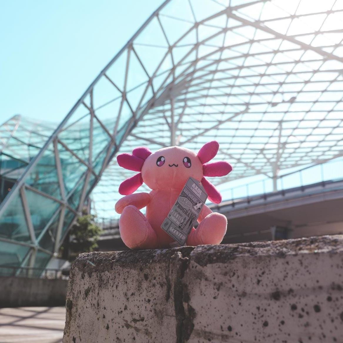 Scented, Warming Axol the Axolotl Plush